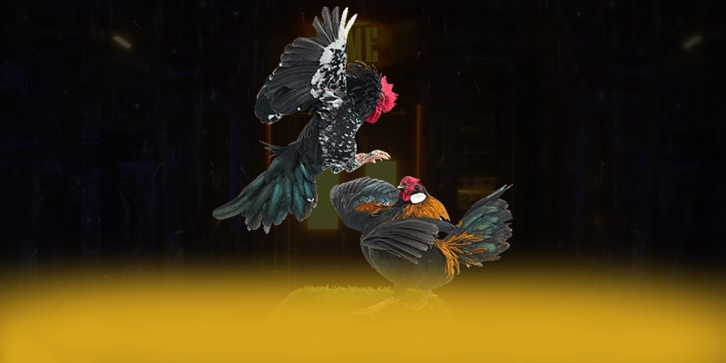 SA88 - Cổng giải trí mượt mà trong giới game thủ SA88 - Cổng giải trí mượt mà trong giới game thủ