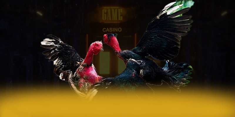 LC88 - Thương hiệu chuyên nghiệp hiện nay