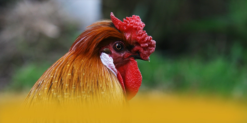 WIN79 - Thương hiệu game trực tuyến được cộng đồng săn đón được yêu thích hàng đầu – Khám phá chi tiết WIN79