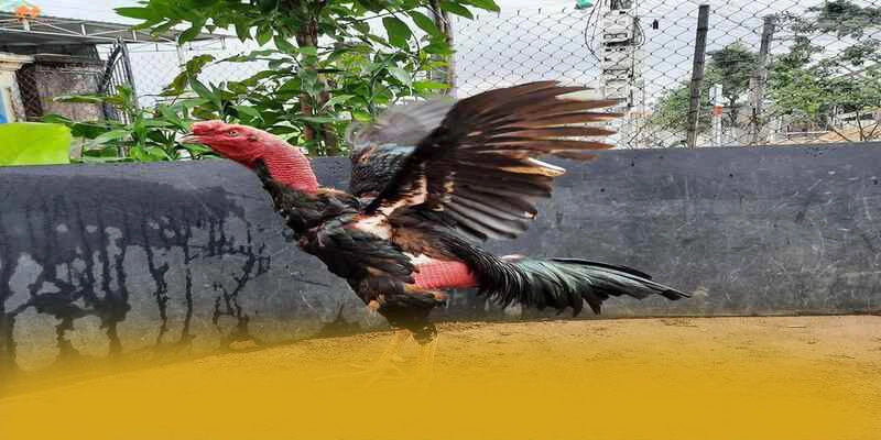 tài xỉu online - Thương hiệu sở hữu top trò chơi nổi bật trong cộng đồng game thủ – Tổng hợp game hot tại tài xỉu online