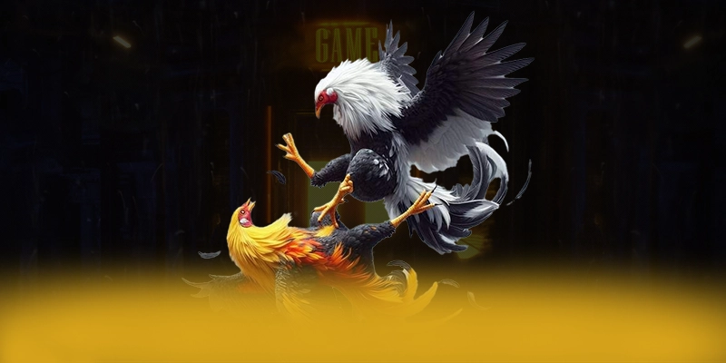 FAFA191 - Thương hiệu game trực tuyến giá trị nhất được người chơi tin tưởng – Trải nghiệm FAFA191