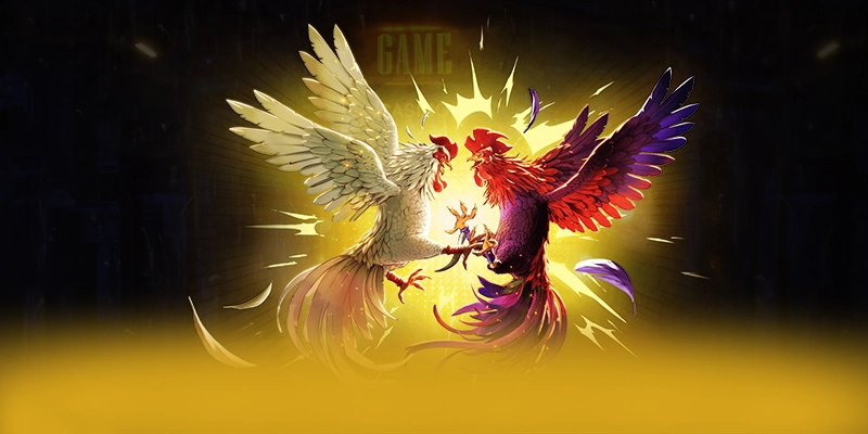 WIN79 – Cổng game bài được đánh giá cao, được giới cược thủ đánh giá cao.