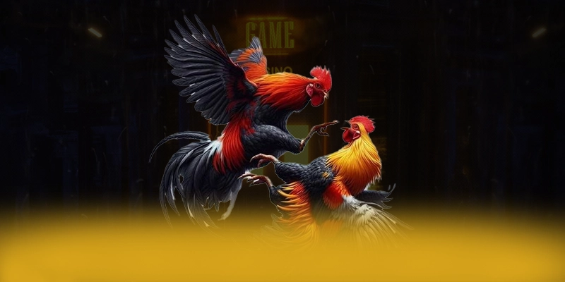 Tìm hiểu RR99 - Nhà cái được tin dùng được giới cược thủ tin tưởng
Tìm hiểu RR99 - Nhà cái được tin dùng được giới cược thủ tin tưởng