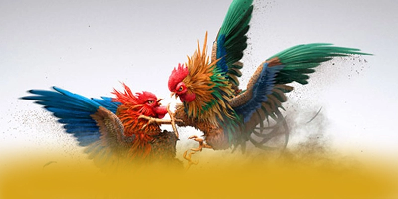 Cập nhật thông tin về KKWIN - Trang game được đánh giá cao được giới cược thủ tin tưởng
Cập nhật thông tin về KKWIN - Trang game được đánh giá cao được giới cược thủ tin tưởng