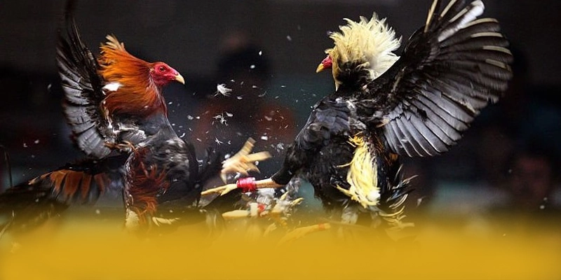 KKWIN - Cổng game được cộng đồng yêu thích nhất được yêu thích nhất – Trải nghiệm KKWIN KKWIN - Cổng game được cộng đồng yêu thích nhất được yêu thích nhất – Trải nghiệm KKWIN