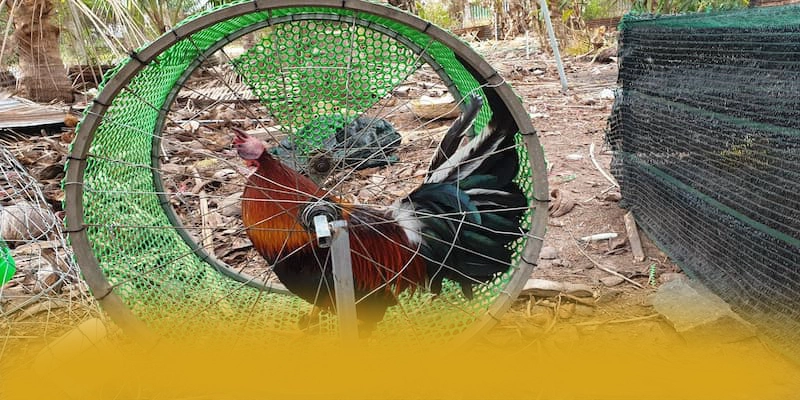 B52 – Sân chơi uy tín số 1, đang làm mưa làm gió trên thị trường. B52 – Sân chơi uy tín số 1, đang làm mưa làm gió trên thị trường.